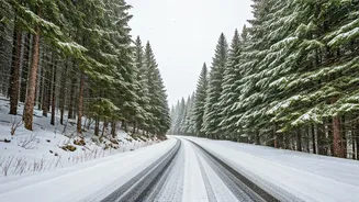 Winter Storm Impacts USA & Rescue Efforts in India