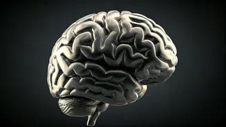 Sharpen Your Brain: 9 Daily Habits to Follow