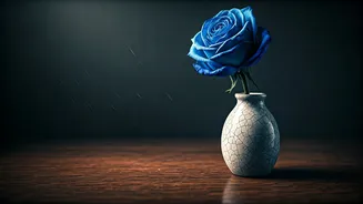 Related Stories banner