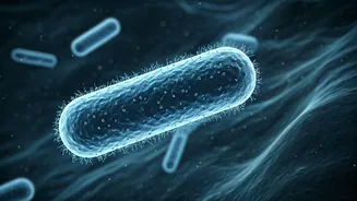 Busting TB Myths: Doctors Uncover the Truth About Tuberculosis