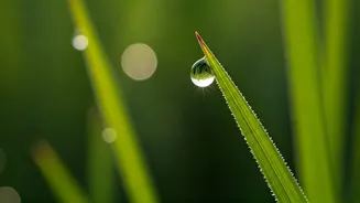 Serene Soundscapes: 10 Indian Baby Boy Names Evoking Calmness and Tranquility