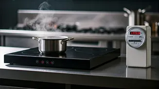 Kolkata Restaurants Weigh Electric Cooking: A Cost-Benefit Quandary Post LPG Crisis