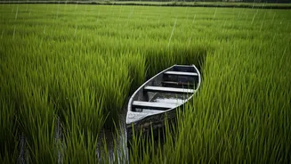 Kerala’s Monsoon Mood Is Pulling Travellers South
