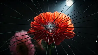 Related Stories banner