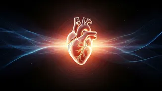 Sadhguru's Wisdom: Let Your Heart's Intelligence Guide Your Life's Journey