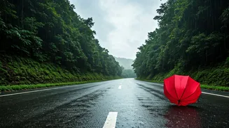Travellers Should Not Trust Pretty Rain Reels