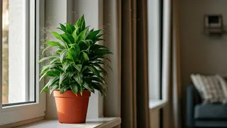 The Monsoon Home Habit That Makes A Big Difference