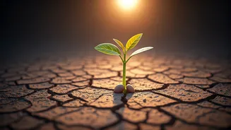 Maya Angelou's Wisdom: Grow and Improve Through Life's Journey