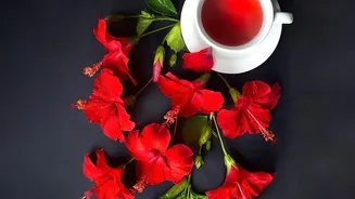 How Vetiver And Hibiscus Botanicals Are Transforming Slow Steeped Cold Teas
