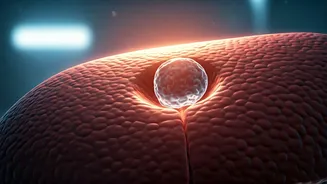 Dipika Kakar's Health Journey: Navigating a New Liver Cyst After Cancer Battle