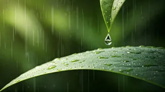 This Monsoon, Your Skin Barrier Comes First