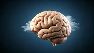 Weather-Triggered Migraines: Swami Ramdev's Yogic Solutions for Lasting Relief