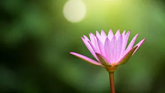 Navigating Breakup Blues: A Guide to Self-Love & Recovery