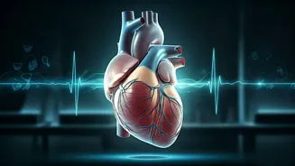 Guard Your Heart: Essential Daily Habits & Checks for Lifelong Cardiovascular Health