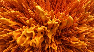 Why the Dutch turn entire cities orange during the FIFA World Cup