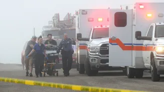 Mexican Navy plane on child medical mission crashes near Texas, five dead