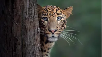 Stressed? Try nature photography