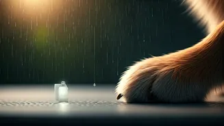 Pet Grooming Becomes Healthcare During Monsoon