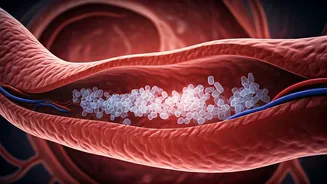 Plastic Particles May Threaten Heart Health