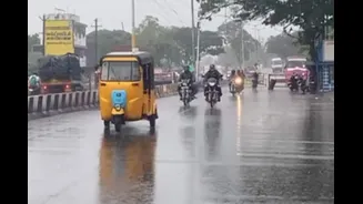 Tamil Nadu Rains: Heavy Showers To Lash Western Districts From April 30, IMD Issues Alert