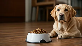 Breed-Specific Pet Diets Are Entering Indian Homes