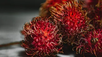 New to rambutan? Here's how to cook with it