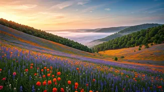 India's Spring Splendor: 8 Must-Visit Destinations for a Vibrant Getaway