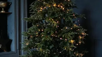 Replacing Cheap Plastic Strings With LED Copper Lights Makes Festive Lighting Sustainable