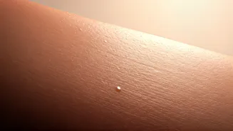 Regional Skin Needs Are Driving Smarter Beauty Choices