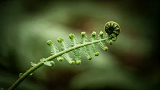 Embrace the Pace: Bhagavad Gita's Wisdom on Thriving Through Slow Progress