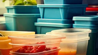 Tomatoes potatoes and bread each need different storage logic Makes The Reader Consequence Of Some foods lose flavour or texture in unnecessary ref...
