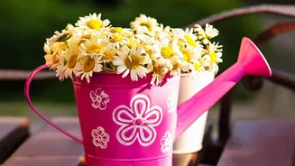 A Watering Can Can Double as a Small, Low-Risk Rain Collector