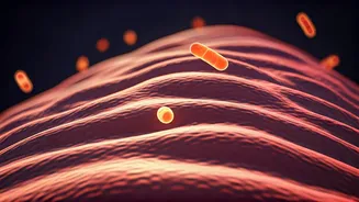 Unpacking Bloating in India: Doctor Reveals Causes and Simple Dietary Fixes