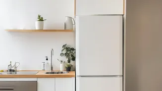 A Closer Home-Design Look At Kitchen Corners With Greenery Through The New Small-Space Gardening Trend