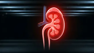 Guard Your Kidneys: Essential Awareness & Prevention Webinar Recap