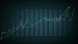 Unpacking Large-Cap Funds: A Simplified Guide for Investors