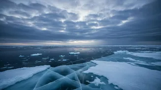 The New Arctic Cloud-Particle Study Adds A New Piece To A New Climate-Modelling Puzzle Piece