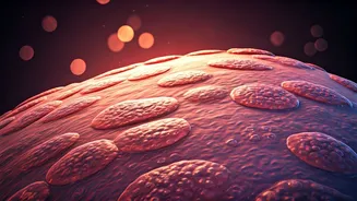 Beyond Obesity: Why Too Little Body Fat Can Be Just As Dangerous