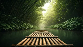 Nature Lovers Are Falling For Bamboo Rafting Adventures