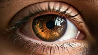 Harness the Sun: 8 Morning Light Habits to Optimize Your Internal Clock