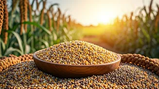 Millets Are The Climate-Smart Ingredient To Watch