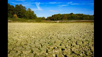 Hyderabad Faces Water Crisis Amid El Nino Concerns