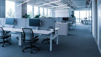 Shocker! This company doesn't offer casual, sick leaves anymore