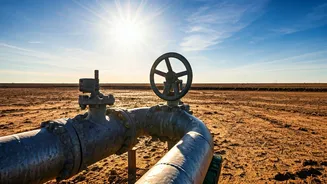 Hungary's Sanctions Exception and Political Stance