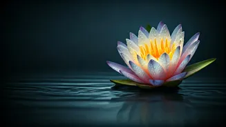 Samantha Ruth Prabhu's 'Less is More' Skincare: Age-Defying Wisdom for Flawless Skin