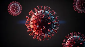 Ebola Declared Global Health Emergency: Understanding the Virus and Outbreak