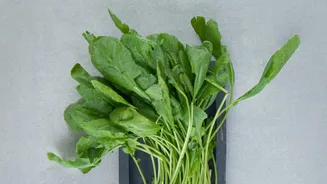 A Monsoon Produce Guide for Choosing Fresh, Clean and Firm Vegetables