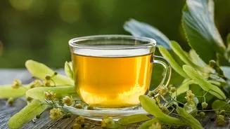 Why Traditional Herbal Tea Brews From Foothill Valleys Preserve Original Plant Flavours Without Milk