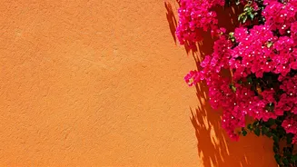 Unforgettable Goa: A Travel Tale to Remember