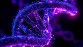 DNA Study On Why Large Dogs Age Faster In Context: Large Breeds Showed More Methylation Loss